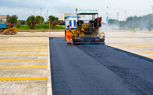Best Local Driveway Pavers  in Bayou Vista, TX