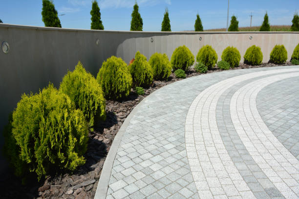 Best Driveway Pavers Near Me  in Bayou Vista, TX